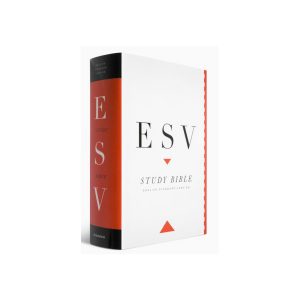 Study Bibles
